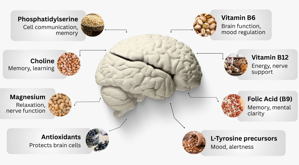 NeuroXen FDA Approved